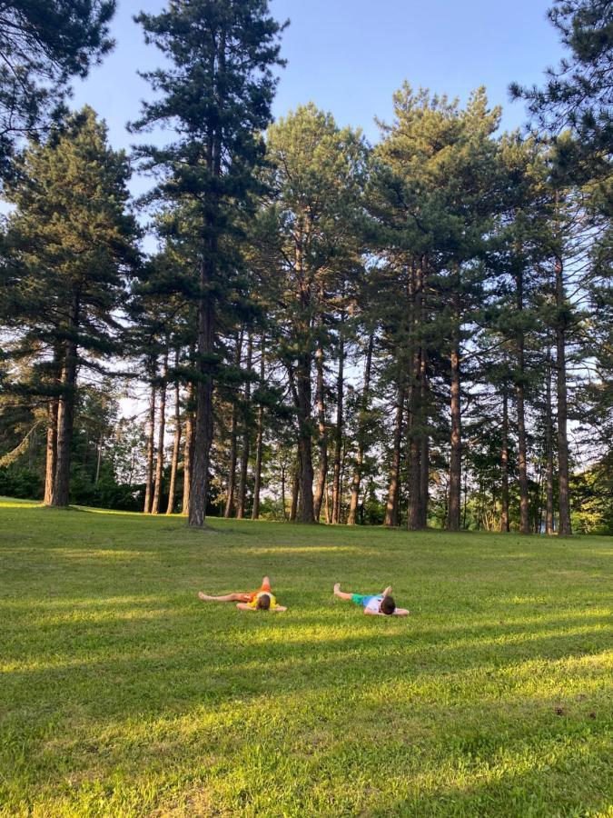 Brvnare Park Borova Zlatibor Exterior foto